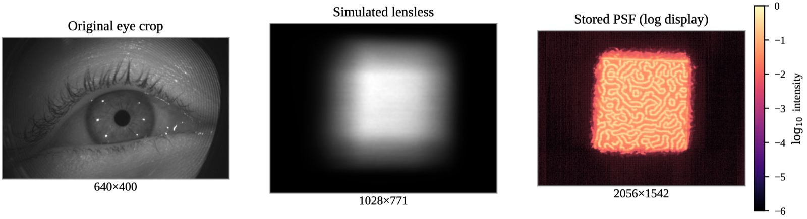 Original eye crop, simulated lensless measurement, and stored point spread function